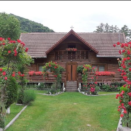 Casa Bunicii Hotel Costeşti Kültér fotó