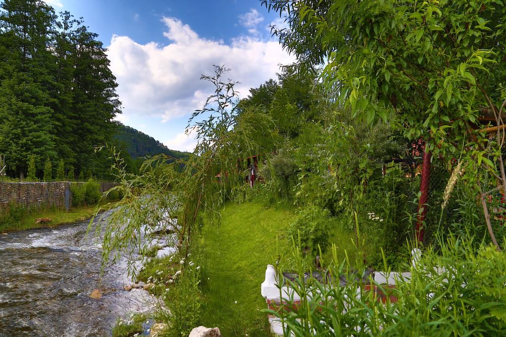 Casa Bunicii Hotel Costeşti Kültér fotó